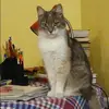 Отзыв от Юлия Губанова